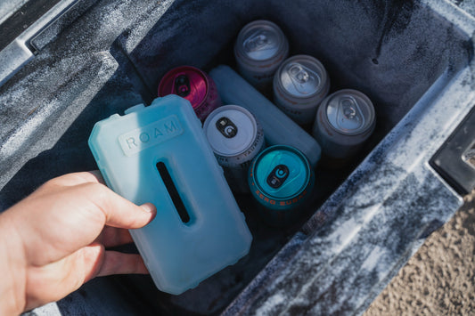 ROAM Adventure Co. Roam 1lb Ice Pack