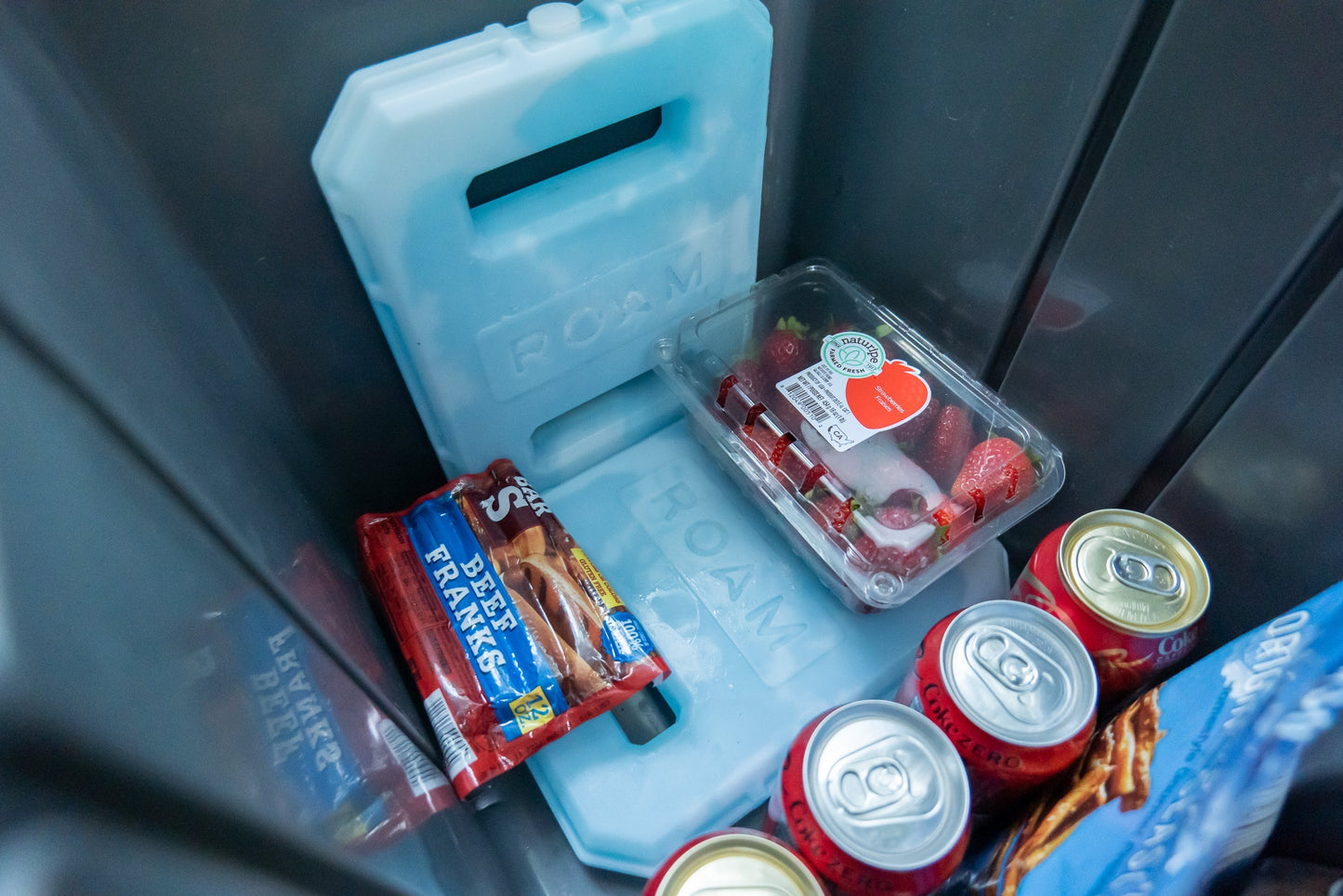 ROAM Adventure Co. 3lb Ice Pack