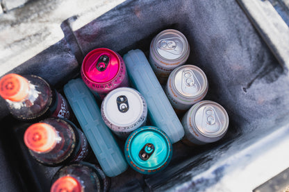 ROAM Adventure Co. Roam 1lb Ice Pack