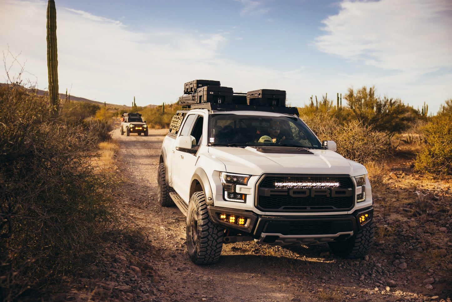 ROAM Adventure Co. 66L Rugged Mounts