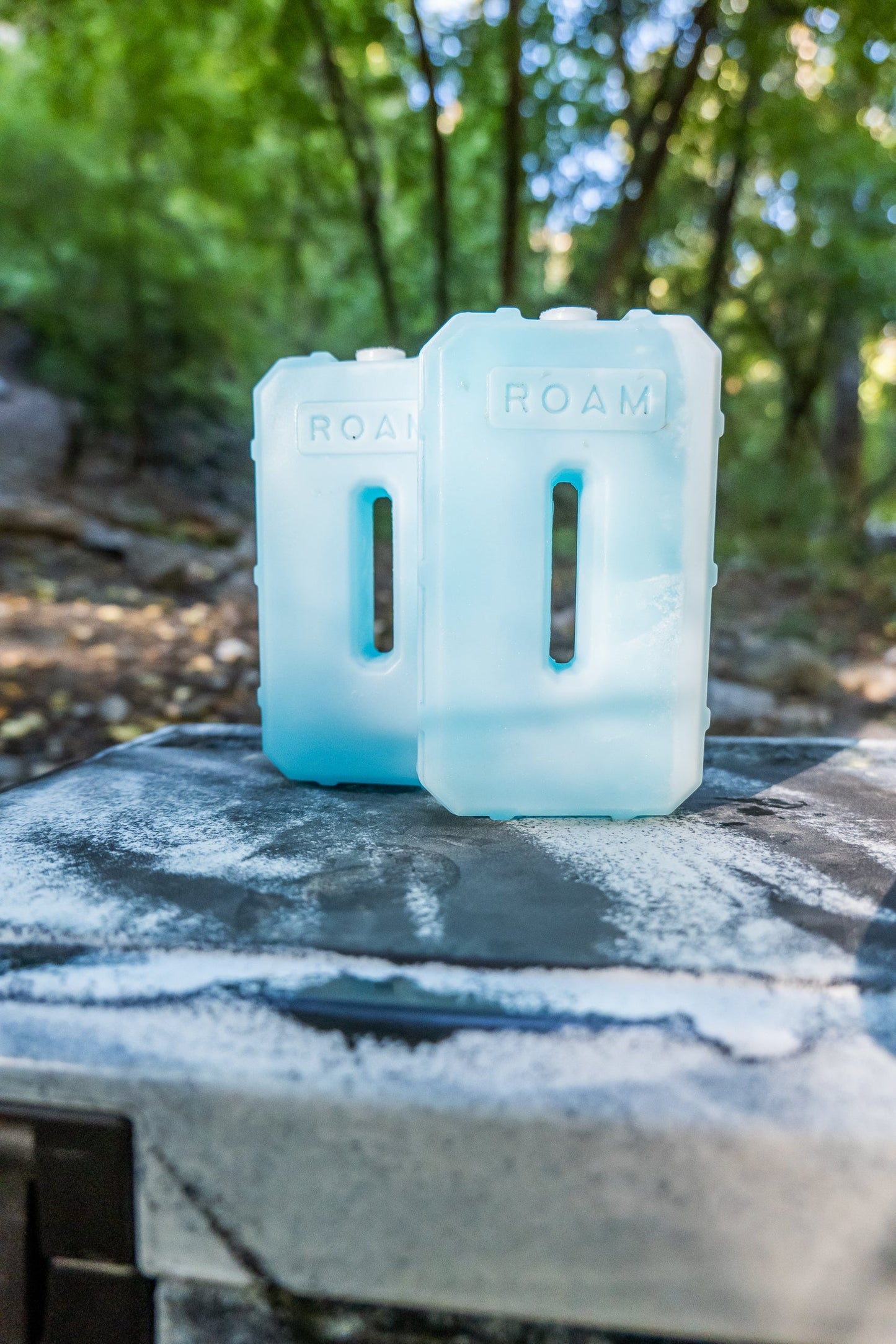 ROAM Adventure Co. Roam 1lb Ice Pack