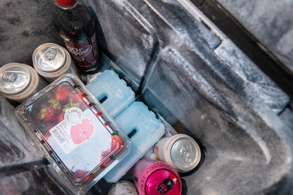 ROAM Adventure Co. Roam 1lb Ice Pack